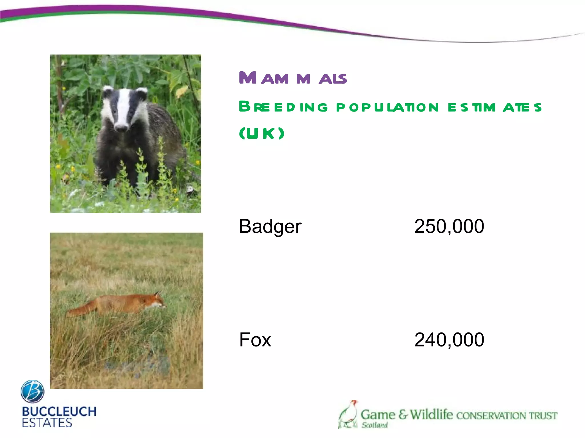 M am m als
Bre e d ing p op u lation e s tim ate s
(U K)



Badger                250,000




Fox                   240,000
 