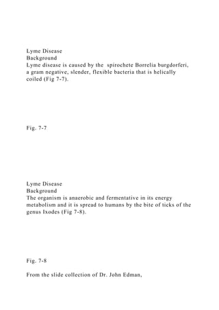 Lyme Disease
Background
Lyme disease is caused by the spirochete Borrelia burgdorferi,
a gram negative, slender, flexible bacteria that is helically
coiled (Fig 7-7).
Fig. 7-7
Lyme Disease
Background
The organism is anaerobic and fermentative in its energy
metabolism and it is spread to humans by the bite of ticks of the
genus Ixodes (Fig 7-8).
Fig. 7-8
From the slide collection of Dr. John Edman,
 