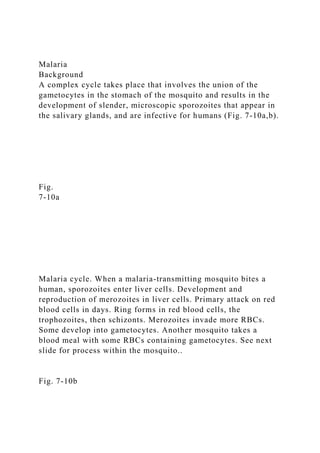Malaria
Background
A complex cycle takes place that involves the union of the
gametocytes in the stomach of the mosquito and results in the
development of slender, microscopic sporozoites that appear in
the salivary glands, and are infective for humans (Fig. 7-10a,b).
Fig.
7-10a
Malaria cycle. When a malaria-transmitting mosquito bites a
human, sporozoites enter liver cells. Development and
reproduction of merozoites in liver cells. Primary attack on red
blood cells in days. Ring forms in red blood cells, the
trophozoites, then schizonts. Merozoites invade more RBCs.
Some develop into gametocytes. Another mosquito takes a
blood meal with some RBCs containing gametocytes. See next
slide for process within the mosquito..
Fig. 7-10b
 