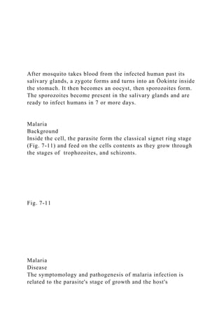After mosquito takes blood from the infected human past its
salivary glands, a zygote forms and turns into an Öokinte inside
the stomach. It then becomes an oocyst, then sporozoites form.
The sporozoites become present in the salivary glands and are
ready to infect humans in 7 or more days.
Malaria
Background
Inside the cell, the parasite form the classical signet ring stage
(Fig. 7-11) and feed on the cells contents as they grow through
the stages of trophozoites, and schizonts.
Fig. 7-11
Malaria
Disease
The symptomology and pathogenesis of malaria infection is
related to the parasite's stage of growth and the host's
 