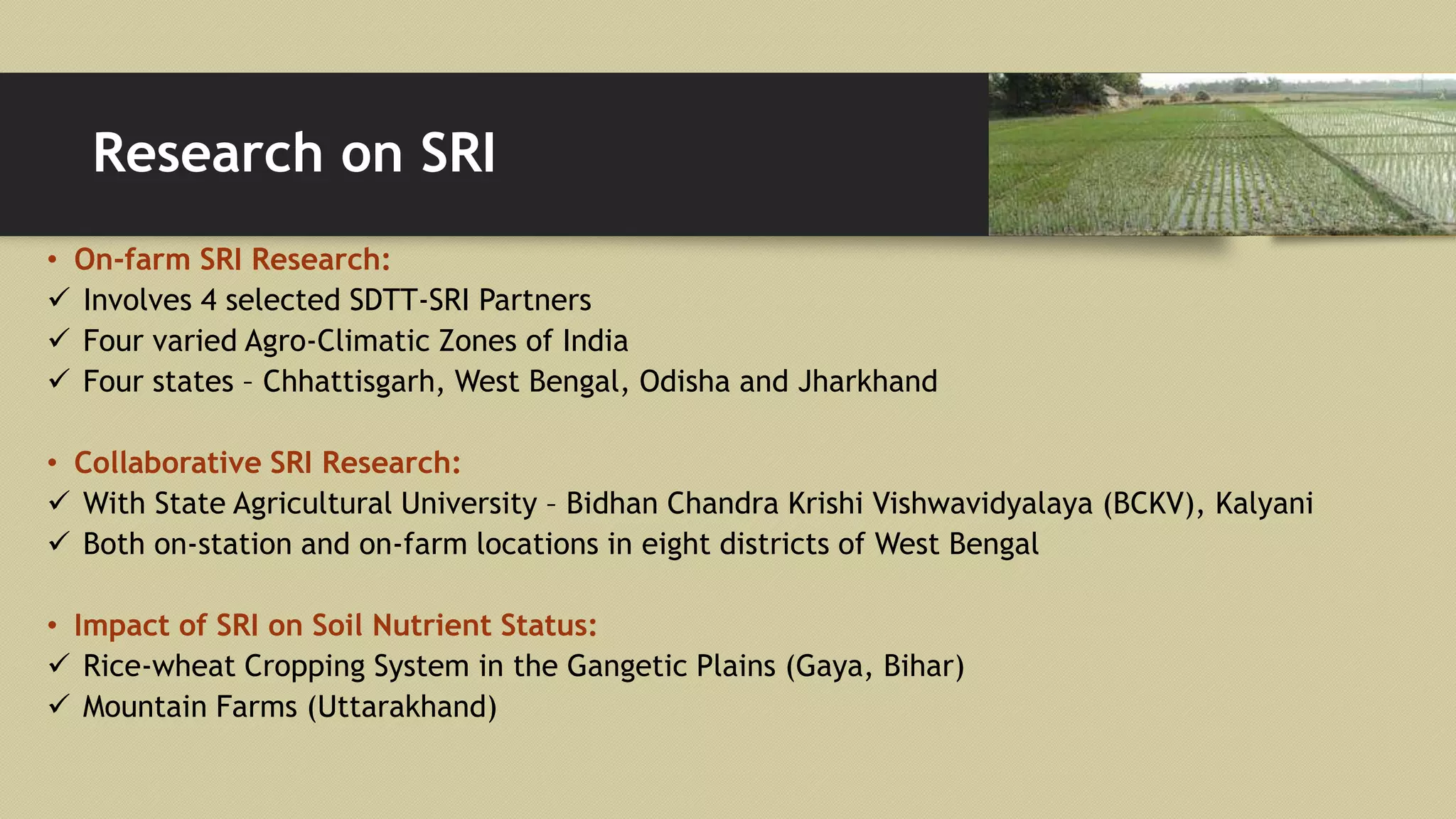 Research on SRI
• On-farm SRI Research:
 Involves 4 selected SDTT-SRI Partners
 Four varied Agro-Climatic Zones of India
 Four states – Chhattisgarh, West Bengal, Odisha and Jharkhand
• Collaborative SRI Research:
 With State Agricultural University – Bidhan Chandra Krishi Vishwavidyalaya (BCKV), Kalyani
 Both on-station and on-farm locations in eight districts of West Bengal
• Impact of SRI on Soil Nutrient Status:
 Rice-wheat Cropping System in the Gangetic Plains (Gaya, Bihar)
 Mountain Farms (Uttarakhand)
 