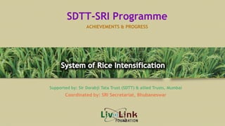 Supported by: Sir Dorabji Tata Trust (SDTT) & allied Trusts, Mumbai
Coordinated by: SRI Secretariat, Bhubaneswar
SDTT-SRI Programme
ACHIEVEMENTS & PROGRESS
 