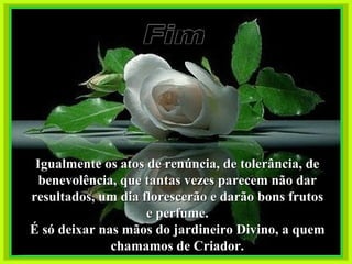 Fim Igualmente os atos de renúncia, de tolerância, de benevolência, que tantas vezes parecem não dar resultados, um dia florescerão e darão bons frutos e perfume. É só deixar nas mãos do jardineiro Divino, a quem chamamos de Criador. 