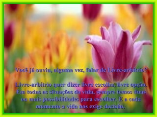 Você já ouviu, alguma vez, falar de Livre-arbítrio? Livre-arbítrio quer dizer livre escolha, livre opção. Em todas as situações da vida, sempre temos duas ou mais possibilidades para escolher. E a cada momento a vida nos exige decisão.  