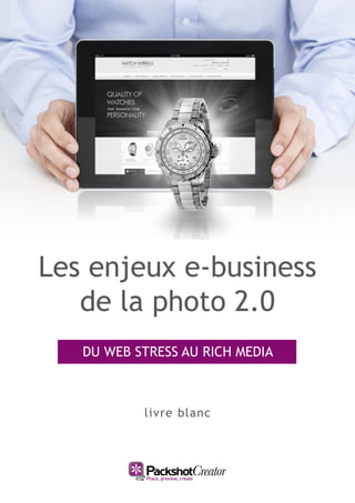 Les enjeux e-business
   de la photo 2.0
   DU WEB STRESS AU RICH MEDIA



           livre blanc
 
