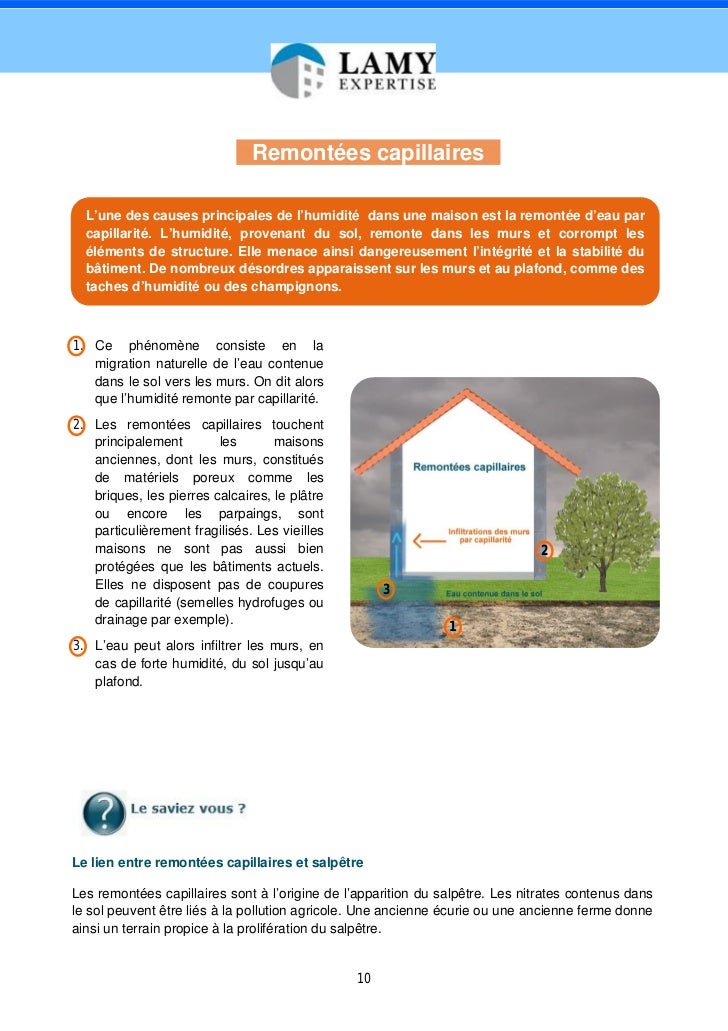 expertise humidit maison livre blanc par lamy expertise expert humidit maison 10 728