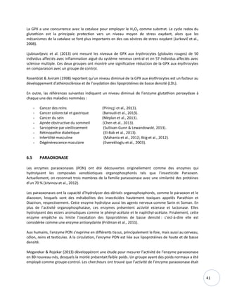41
La GPX a une concurrence avec la catalase pour employer le H2O2 comme substrat. Le cycle redox du
glutathion est la principale protection vers un niveau moyen de stress oxydant, alors que les
mécanismes de la catalase se font plus importants en des cas sévères de stress oxydant (Jurkovič et al.,
2008).
Ljubisavljevic et al. (2013) ont mesuré les niveaux de GPX aux érythrocytes (globules rouges) de 50
individus affectés avec inflammation aiguë du système nerveux central et en 57 individus affectés avec
sclérose multiple. Ces deux groupes ont montré une significative réduction de la GPX aux érythrocytes
en comparaison avec un groupe de control.
Rosenblat & Aviram (1998) reportent qu’un niveau diminué de la GPX aux érythrocytes est un facteur au
développement d’athérosclérose et de l’oxydation des lipoprotéines de basse densité (LDL).
En outre, las références suivantes indiquent un niveau diminué de l’enzyme glutathion peroxydase à
chaque une des maladies nommées :
- Cancer des reins (Pirinççi et al., 2013).
- Cancer colorectal et gastrique (Baroudi et al., 2013).
- Cancer du sein (Méplan et al., 2013).
- Apnée obstructive du sommeil (Chen et al., 2013).
- Sarcopénie par vieillissement (Sullivan-Gunn & Lewandowski, 2013).
- Rétinopathie diabétique (El-Bab et al., 2013).
- Infertilité masculine (Mahanta et al., 2012; Atig et al., 2012).
- Dégénérescence maculaire (Evereklioglu et al., 2003).
6.5 PARAOXONASE
Les enzymes paraoxonases (PON) ont été découvertes originellement comme des enzymes qui
hydrolysent les composées xenobiotiques organophosphorés tels que l’insecticide Paraoxon.
Actuellement, on reconnait trois membres de la famille paraoxonase avec une similarité des protéines
d’un 70 % (Litvinov et al., 2012).
Les paraoxonases ont la capacité d’hydrolyser des dérivés organophosphorés, comme le paraoxon et le
diazoxon, lesquels sont des métabolites des insecticides hautement toxiques appelés Parathion et
Diazinon, respectivement. Cette enzyme hydrolyse aussi les agents nerveux comme Sarin et Soman. En
plus de l’activité organophosphatase, ces enzymes présentent activité esterase et lactonase. Elles
hydrolysent des esters aromatiques comme le phényl-acétate et le naphthyl-acétate. Finalement, cette
enzyme empêche ou limite l’oxydation des lipoprotéines de basse densité : c’est-à-dire elle est
considérée comme une enzyme antioxydante (Fridman et al., 2011).
Aux humains, l’enzyme PON s'exprime en différents tissus, principalement le foie, mais aussi au cerveau,
côlon, reins et testicules. A la circulation, l’enzyme PON est liée aux lipoprotéines de haute et de basse
densité.
Mogarekar & Rojekar (2013) développèrent une étude pour mesurer l’activité de l’enzyme paraoxonase
en 80 nouveau-nés, desquels la moitié présentait faible poids. Un groupe ayant des poids normaux a été
employé comme groupe-control. Les chercheurs ont trouvé que l’activité de l’enzyme paraoxonase était
 