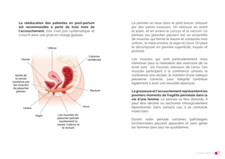 2
2 Le post-partum
La rééducation des patientes en post-partum
est recommandée à partir de trois mois de
l’accouchement. Elle n’est pas systématique et
s’inscrit dans une prise en charge globale.
Utérus
Vessie
Urètre
Vagin
Anus
Rectum
Colonne
vertébrale
Les muscles du
plancher pelvien
soutiennent la
vessie, l’utérus et
le rectum
Sortie de
la vessie
soutenue par
les muscles
du plancher
pelvien
3
Le périnée se situe dans le petit bassin, entouré
par des parois osseuses. On retrouve en avant
le pubis, et en arrière le coccyx et le sacrum. Le
périnée (ou plancher pelvien) est un ensemble
de muscles qui ferme le bassin et comporte trois
orifices : le méat urinaire, le vagin et l’anus. On peut
le décomposer en périnée superficiel, moyen et
profond.
Les muscles qui vont particulièrement nous
intéresser pour la réalisation des exercices de ce
livret sont : les muscles releveurs de l’anus. Ces
muscles participent à la continence urinaire, la
continence ano-rectale, le maintien d’une statique
pelvienne correcte. Leur intégrité contribue
également à avoir une sexualité épanouie.
La grossesse et l’accouchement représentent les
premiers moments de fragilité périnéale dans la
vie d’une femme. Le périnée va être distendu. Il
peut être déchiré ou sectionné chirurgicalement
(épisiotomie). Dans certains cas, il se contracte
moins bien.
Durant cette période certaines pathologies
fonctionnelles peuvent apparaître et venir gêner
les femmes dans leur vie quotidienne.
Le post-partum 2
 