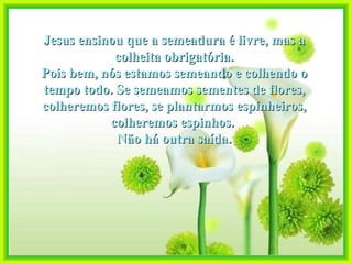 Jesus ensinou que a semeadura é livre, mas a colheita obrigatória. Pois bem, nós estamos semeando e colhendo o tempo todo. Se semeamos sementes de flores, colheremos flores, se plantarmos espinheiros, colheremos espinhos.  Não há outra saída. 