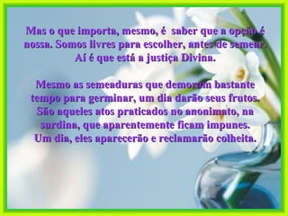Mas o que importa, mesmo, é  saber que a opção é nossa. Somos livres para escolher, antes de semear. Aí é que está a justiça Divina. Mesmo as semeaduras que demoram bastante tempo para germinar, um dia darão seus frutos. São aqueles atos praticados no anonimato, na surdina, que aparentemente ficam impunes. Um dia, eles aparecerão e reclamarão colheita. 