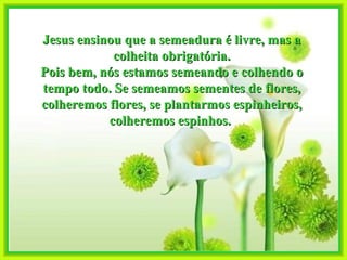 Jesus ensinou que a semeadura é livre, mas a colheita obrigatória. Pois bem, nós estamos semeando e colhendo o tempo todo. Se semeamos sementes de flores, colheremos flores, se plantarmos espinheiros, colheremos espinhos.  