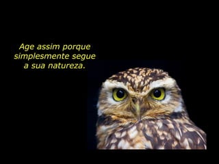 Age assim porque simplesmente segue a sua natureza. 