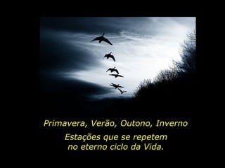 Primavera, Verão, Outono, Inverno Estações que se repetem no eterno ciclo da Vida. 