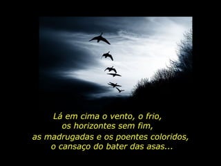Lá em cima o vento, o frio,  os horizontes sem fim,  as madrugadas e os poentes coloridos,  o cansaço do bater das asas... 