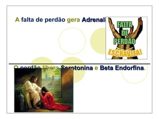 A  falta de perdão  gera  Adrenalina  e  Cortisol _________________________________________ O  perdão  libera  Serotonina  e  Beta Endorfina . 