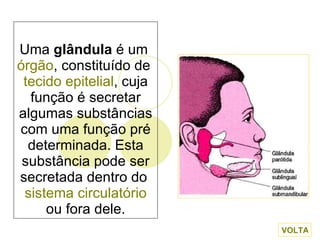 Uma  glândula  é um  órgão , constituído de  tecido epitelial , cuja função é secretar algumas substâncias com uma função pré determinada. Esta substância pode ser secretada dentro do  sistema circulatório  ou fora dele. VOLTA 