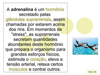 A  adrenalina  é um  hormônio  secretado pelas  glândulas suprarrenais , assim chamadas por estarem acima dos rins. Em momentos de "stress", as suprarrenais secretam quantidades abundantes deste hormônio que prepara o organismo para grandes esforços físicos, estimula o  coração , eleva a tensão arterial, relaxa certos  músculos  e contrai outros.  VOLTA 