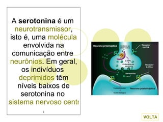 A  serotonina  é um  neurotransmissor , isto é, uma  molécula  envolvida na comunicação entre  neurônios . Em geral, os indivíduos  deprimidos  têm níveis baixos de serotonina no  sistema nervoso central . VOLTA 