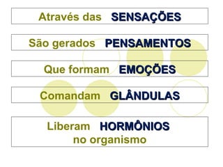 Através das  SENSAÇÕES São gerados  PENSAMENTOS Que formam  EMOÇÕES Comandam  GLÂNDULAS Liberam  HORMÔNIOS   no organismo 