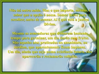 Não há outra saída. Mas o que importa, mesmo, é
   saber que a opção é nossa. Somos livres para
 escolher, antes de semear. Aí é que está a justiça
                      Divina.

  Mesmo as semeaduras que demoram bastante
 tempo para germinar, um dia darão seus frutos.
  São aqueles atos praticados no anonimato, na
   surdina, que aparentemente ficam impunes.
Um dia, ainda que seja numa existência futura, eles
        aparecerão e reclamarão colheita.
 
