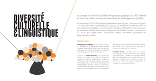DIVERSITE
CULTURELLE
&LINGUISTIQUE Quelques repères :
Déclaration de Fribourg sur « les Droits Culturels
», émanation d’un groupe de travail composé
d’experts internationaux connu pour une série de
publications sur « Les Droits culturels : une catégorie
sous-développée des Droits de l’Homme ».
Création du Label Diversum par l’agence de
notation du même nom, filiale de Diversum,
Association française indépendante, fondée en
2006, en vue de contribuer à la prise en compte
des langues et des cultures dans les politiques de
développement durable, revêt une importance
capitale. Il s’agit de garantir à un épargnant qu’une
partie de son portefeuille servira au financement
d’entreprises et de collectivités favorisant la diversité
des cultures, par le biais d’actions telles que la
formation du personnel ou le mécénat.
Économie mauve : Ce terme renvoie à la prise
en compte du culturel en économie. Elle désigne
une économie qui s’adapte à la diversité humaine
dans la mondialisation et qui prend appui sur la
dimension culturelle pour valoriser les biens et
services. Le terme est apparu publiquement à
l’initiative de l’Association Diversum.
Le concept de diversité culturelle et linguistique appliqué à la RSE défend
la notion de culture comme axe transversal du développement durable.
Les entreprises du CAC 40 pratiquent généralement deux langues, le français et l’anglais
; 11,6% d’entre elles en pratiquent trois ou quatre ; six entreprises travailleraient dans ce
qu’il est convenu d’appeler un environnement multilingue. Cela signifie, entre autres, que
ces entreprises publient des contenus stratégiques en plusieurs langues – soit minimum
3 – et ce, pour quatre volets : actionnaires, médias, recrutement, gouvernance et
développement durable.
 