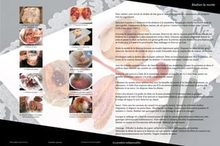 Réaliser la recette

                                                                                                                                                         Pour réaliser cette recette de dodine de foie gras et canard en aiguillettes, commencer par préparer
                                                                                                                                                         tous les ingrédients.

                                                                                                                                                         Eplucher 6 navets et 1 betterave et les émincer à la mandoline. Ranger par couche successive dans un
                          1/ Préparer le gratin pour la                                         2/ Désosser le canard                                    plat à gratin. Assaisonner de thym, laurier, ail, sel, poivre. Crémer à hauteur et faire cuire 1 heure à
                                   garniture
                                                                                                                                                         1h30 à four doux (150°C).
                                                                                                                                                         	
                                                                                                                                                         Désosser le canard en retirant toute la carcasse. Réserver de côté la carcasse pour la confection du jus.
                                                                                                                                                         Prélever les 2 cuisses, les 2 ailes (manchons) et les 2 filets. Désosser les cuisses en totalité. Retirer la
                                                                                                                                                         peau et passer la chair au hachoir, à la grosse grille avec la poitrine de porc fraîche, un peu d’épices, 1/4
                                                                                                                                                         de fruits secs, 1/2 œuf et le persil haché. Bien mélanger et réserver au frais.
                              3/ Élaborer la farce                                         4/ Émincer les navets et les
                                                                                                   pommes                                                Etaler la moitié de la farce en formant un boudin légèrement aplati. Disposer les lobes de foie gras
                                                                                                                                                         dénervés. Recouvrir du restant de farce et rouler l’ensemble dans la crépine afin de réaliser un boudin.
                                                                                                                                                         	
                                                                                                                                                         Envelopper enfin la dodine dans le papier sulfurisé. Rôtir au four chaud pendant 20 à 25 minutes. Au
                                                                                                                                                         terme de la cuisson, laisser reposer les dodines 15 minutes minimum. Garder au chaud.

                                                                                                                                                         Avec les 4 navets restants réaliser des lamelles à l’aide d’une mandoline. Couper les pommes en deux et
                             5/ Préparer les dômes                                       6/ Cuire à feu moyen, à la poêle,
                                                                                                                                                         prélever dans chacune des moitiés un cylindre à l’aide d’un emporte pièce rond Ø 4,5 cm environ.
                                                                                                      les filets                                         	
                                                                                                                                                         Retirer le côté peau et à l’aide de la mandoline, émincer en lamelles de 2 à 3 mm. Faire sauter ces
                                                                                                                                                         lamelles (pommes + navets) à la poêle à la graisse de canard.

                                                                                                                                                         Chemiser les moules demi-sphères inox avec les lamelles de navets et les lamelles de pommes, en
                                                                                                                                                         alternance. A l’aide d’un emporte pièce uni Ø 8 cm environ, prélever des morceaux de gratin à la
                                                                                                                                                         betterave et au navet. Les disposer dans les dômes.
                             7/ Démarrer la sauce                                         8/ Réaliser la gastrique, passer le
                                                                                                                                                         	
                                                                                        fond de canard et monter au beurre                               Cuire à feu moyen, à la poêle, les filets sur la peau pendant 8 à 10 minutes selon la grosseur.
                                                                                                                                                         Badigeonner de miel à l’aide d’un pinceau et saupoudrer d’épices, puis passer au four quelques minutes
                                                                                                                                                         le temps de laquer le tout. Réserver au chaud.

                                                                                                                                                         Sauce : Faire suer les carcasses de canard à la graisse de canard. Ajouter les échalotes ciselées.
                                                                                                                                                         Dégraisser et déglacer au porto blanc. Mouiller au vin rouge. Laisser cuire doucement pendant 45
                                                                                                                                                         minutes à 1 heure. Réaliser une gastrique avec le jus d’orange le sucre et le vinaigre.
                       9/ Déballer la dodine et la couper                               10/ Démouler le dôme de navet et
                                                                                                                                                         	
                           délicatement en tranches                                     le disposer sur une assiette chaude                              Lorsque le mélange est à l’état de caramel passer le fond de canard précédemment réalisé sur cette
javascrip                                                                                                                                                gastrique (attention aux éclaboussures). Faire réduire 15 minutes. Rectifier l’assaisonnement.
         t:M
vascript:M dcShowDiv(‘med                                                                                                                                Monter au beurre en l’incorporant délicatement. Réserver au bain-marie.
           dcShowD            ia’,-
                   iv(‘media 1) javascript:Mdc
                            ’,-1)              ShowD          iv(‘media
                                                                       ’,-1) javas                                                                       Dressage : Déballer la dodine du papier sulfurisé et la couper délicatement en tranches.
                                                                                     cript:Md
                                                                                              cShowDiv                                                   Démouler le dôme de navet et le disposer sur une assiette chaude. Emincer les filets de canard et les
                                                                                                             (‘media’,-
                                                                                                                          1) javascr                     placer harmonieusement sur l’assiette. Napper l’assiette de sauce.
                                                                                                                                       ipt:MdcS
                                                                                                                                               howDiv(
                                                                                                                                                       ‘media’,-1
                                                                                                                                                                  ) javascrip
                                                                                                                                                                             t:MdcSho
                                                                                                                                                                                     wDiv(‘media
          Demi-sphère inox Ø 10 cm                          Mandoline japonaise                            Découpoir rond uni Exoglass®
                                                                                                                                                      Les produits indispensables               ’,-1) javas
                                                                                                                                                                                                              cript:Md
                                                                                                                                                                                                                      cShowDiv                  La qualité professionnelle pour tous !
                                                                                                                                                                                                                              (
 