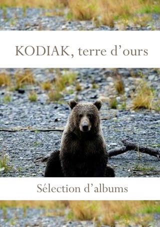 KODIAK, terre d’ours 
Sélection d’albums 
 