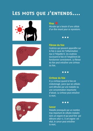 Les mots que j’entends....
Virus
Microbe qui a besoin d’une cellule
d’un être vivant pour se reproduire.
...
Fibrose du foie
Cicatrices qui peuvent apparaître sur
le foie à cause de l’inflammation
due à l'hépatite B. Ces cicatrices
durcissent le foie et l’empêchent de
fonctionner correctement. La fibrose
du foie peut entraîner une cirrhose
du foie.
...
Cirrhose du foie
Il y a cirrhose quand le foie est
endommagé, parce que ses cellules
sont détruites par une maladie ou
une consommation importante
d’alcool. La cirrhose peut entraîner
la mort.
...
Cancer
Maladie provoquée par un nombre
trop important de cellules malades
dans un organe et qui peut finir par
détruire celui-ci. Si cet organe est
vital, le cancer peut entraîner
la mort.
 
