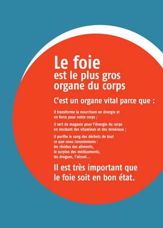 C’est un organe vital parce que :
il transforme la nourriture en énergie et
en force pour notre corps ;
il sert de magasin pour l’énergie du corps
en stockant des vitamines et des minéraux ;
il purifie le sang des déchets de tout
ce que nous consommons :
les résidus des aliments,
le surplus des médicaments,
les drogues, l’alcool...
Il est très important que
le foie soit en bon état.
Le foie
est le plus gros
organe du corps
 