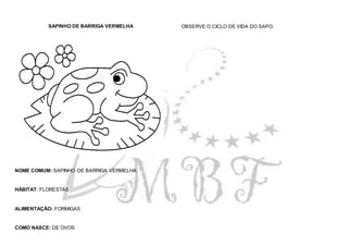 SAPINHO DE BARRIGA VERMELHA
NOME COMUM: SAPINHO DE BARRIGA VERMELHA
HÁBITAT: FLORESTAS
ALIMENTAÇÃO: FORMIGAS
COMO NASCE: DE OVOS
OBSERVE O CICLO DE VIDA DO SAPO:
 