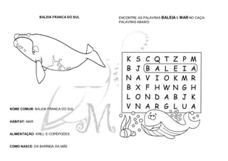 BALEIA FRANCA DO SUL
NOME COMUM: BALEIA FRANCA DO SUL
HÁBITAT: MAR
ALIMENTAÇÃO: KRILL E COPÉPODES
COMO NASCE: DA BARRIGA DA MÃE
ENCONTRE AS PALAVRAS BALEIA E MAR NO CAÇA-
PALAVRAS ABAIXO:
 