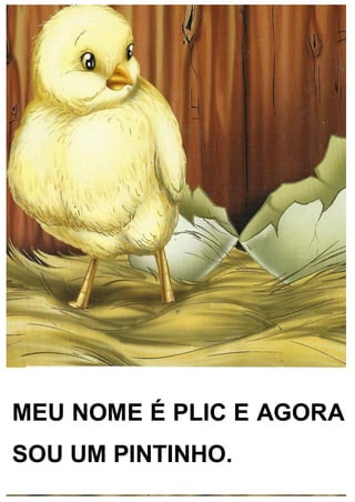 MEU NOME É PLIC E AGORA
SOU UM PINTINHO.
 