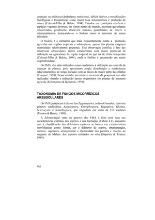 doenças) ou abióticas (desbalanço nutricional, déficit hídrico, e modificações
fisiológicas e bioquímicas como maior taxa fotossintética e produção de
raízes (Colozzi-Filho & Balota, 1994). Estudos em condições edáficas e
espécies vegetais diversas, em várias partes do mundo, mostram que plantas
micorrizadas geralmente absorvem maiores quantidades de macro e
micronutrientes, destacando-se o fósforo como o nutriente de maior
afinidade.
    O fósforo é o elemento que mais frequentemente limita a produção
agrícolas nas regiões tropicais e subtropicais, apesar das plantas exigirem
quantidades relativamente pequenas. Esta observação justifica o fato das
micorrizas arbusculares serem consideradas com maior potencial de
utilização na agricultura da região tropical do que na de clima temperado
(Colozzi-Filho & Balota, 1994), onde o fósforo é encontrado em maior
disponibilidade.
    Os FMA têm sido indicados como candidatos à utilização no controle de
doenças de plantas, pois apresentam ampla distribuição e estabelecem
relacionamentos de longa duração com as raízes da maior parte das plantas
(Traquair, 1995). Nesse sentido, um número crescente de pesquisas tem sido
realizadas visando a utilização desses organismos em plantas de interesse
agrícola (Klironomos & Kendrick, 1993).



TAXONOMIA DE FUNGOS MICORRÍZICOS
ARBUSCULARES
   Os FMA pertencem à classe dos Zygomycetes, ordem Glomales, com seis
gêneros conhecidos: Acaulospora, Entrophospora, Gigaspora, Glomus,
Sclerocystis e Scutellospora, que englobam em torno de 150 espécies
(Morton & Benny, 1990).
   A diferenciação entre os gêneros dos FMA é feita com base nas
características externas dos esporos e sua formação (Tabela 4.1), enquanto
que a classificação das diferentes espécies se baseia em características
morfológicas como: forma, cor e diâmetro do esporo, ornamentação,
número, espessura, arranjamento e elasticidade das paredes e reações ao
reagente de Melzer, dos esporos coletados no solo (Siqueira & Franco,
1988).




102
 