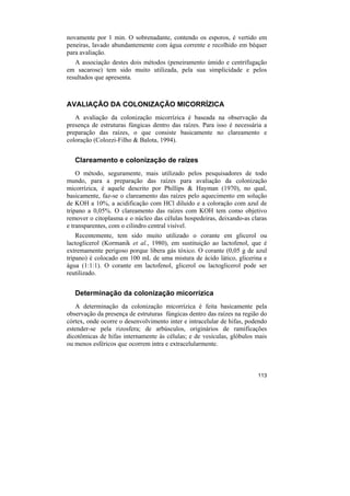 novamente por 1 min. O sobrenadante, contendo os esporos, é vertido em
peneiras, lavado abundantemente com água corrente e recolhido em béquer
para avaliação.
   A associação destes dois métodos (peneiramento úmido e centrifugação
em sacarose) tem sido muito utilizada, pela sua simplicidade e pelos
resultados que apresenta.



AVALIAÇÃO DA COLONIZAÇÃO MICORRÍZICA
   A avaliação da colonização micorrízica é baseada na observação da
presença de estruturas fúngicas dentro das raízes. Para isso é necessária a
preparação das raízes, o que consiste basicamente no clareamento e
coloração (Colozzi-Filho & Balota, 1994).


   Clareamento e colonização de raízes
    O método, seguramente, mais utilizado pelos pesquisadores de todo
mundo, para a preparação das raízes para avaliação da colonização
micorrízica, é aquele descrito por Phillips & Hayman (1970), no qual,
basicamente, faz-se o clareamento das raízes pelo aquecimento em solução
de KOH a 10%, a acidificação com HCl diluído e a coloração com azul de
tripano a 0,05%. O clareamento das raízes com KOH tem como objetivo
remover o citoplasma e o núcleo das células hospedeiras, deixando-as claras
e transparentes, com o cilindro central visível.
    Recentemente, tem sido muito utilizado o corante em glicerol ou
lactoglicerol (Kormanik et al., 1980), em sustituição ao lactofenol, que é
extremamente perigoso porque libera gás tóxico. O corante (0,05 g de azul
tripano) é colocado em 100 mL de uma mistura de ácido lático, glicerina e
água (1:1:1). O corante em lactofenol, glicerol ou lactoglicerol pode ser
reutilizado.


   Determinação da colonização micorrízica
   A determinação da colonização micorrízica é feita basicamente pela
observação da presença de estruturas fúngicas dentro das raízes na região do
córtex, onde ocorre o desenvolvimento inter e intracelular de hifas, podendo
estender-se pela rizosfera; de arbúsculos, originários de ramificações
dicotômicas de hifas internamente às células; e de vesículas, glóbulos mais
ou menos esféricos que ocorrem intra e extracelularmente.



                                                                        113
 