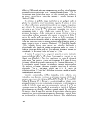 (Silveira, 1949), sendo a doença mais comum em repolho e outras brássicas,
principalmente em cultivos de verão (Lopes & Quesado-Soares, 1997). Em
Pernambuco, esta fitobacteriose ocorre em todos os municípios produtores
de couve, couve-chinesa, couve-flor, rabanete e repolho (Mariano &
Michereff, 1994).
   Os sintomas da podridão negra manifestam-se em qualquer idade da
planta. Nas sementeiras, observam-se murcha e queima de uma ou de ambas
as folhas cotiledonares, geralmente iniciando-se nas margens, progredindo
para o interior das mesmas, que se tornam secas e caem. Nas folhas, a lesão
apresenta-se em forma de "V", inicialmente amarelada com nervuras
enegrecidas, tendo o vértice voltado para o centro do limbo. Com o
progresso da doença, a lesão avança para a nervura principal e torna-se
marrom-clara, podendo apresentar halo amarelo e secamento da folha. A
cabeça do repolho pode apresentar-se coberta por lesões necróticas. O
patógeno torna-se sistêmico invadindo as nervuras secundárias e principal da
folha, que enegrecem progressivamente, enquanto a bactéria atinge a raiz, o
caule e, posteriormente, as sementes (Maringoni, 1997; Tokeshi & Salgado,
1980). Infecção latente pode ocorrer em plântulas, facilitando a
disseminação pelo plantio de mudas supostamente sadias no campo. A
infecção latente em folhas pode ser detectada pela técnica da imersão em
solução a 0,1% do corante Eosina Y (Assis et al., 1996).
    A bactéria X. campestris pv. campestris apresenta-se como bastonetes
retos medindo de 0,4-0,7 x 0,7-1,8 µm, Gram negativos e móveis por um
flagelo polar (Tabela 6.1). Tem bom crescimento em meios de cultura de
rotina como Agar nutritivo e Agar nutritivo-extrato de levedura-dextrose,
formando colônias de coloração amarela com 1 a 2 mm de diâmetro em 48
h. A coloração amarela é devido à produção do pigmento xantomonadina.
São aeróbicas obrigadas e não usam asparagina como fonte de carbono e
nitrogênio. Têm o crescimento inibido por 0,1% de cloreto de
trifeniltetrazólio e 2-5% de NaCl. Hidroliza fortemente o amido e liquefaz
moderadamente a gelatina.
   Sementes contaminadas, perfilhos infectados, restos culturais, solo
infestado e ervas daninhas constituem as principais fontes de inóculo de X.
campestris pv. campestris (Alvarez & Cho, 1978; Dzhalilov & Tiwari, 1995;
Schaad & Dianese, 1981) (Figura 6.1). A disseminação do inóculo ocorre
principalmente por sementes contaminadas externamente ou internamente na
região do folículo, sendo que essa contaminação varia de 6 a 8% nas
sementes comerciais. Por ocasião da germinação, a bactéria é facilmente
disseminada para as plântulas vizinhas provocando a queda dos cotilédones.
No campo, a água da superfície, respingos de chuva, tratos culturais, roupas
dos operários, insetos, animais e outros agentes disseminam a bactéria dentro
da área de cultivo. A disseminação a longa distância é feita principalmente


142
 