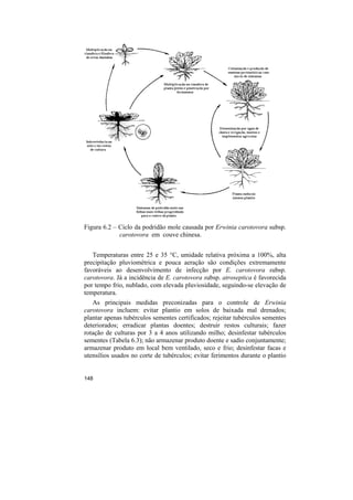 Figura 6.2 – Ciclo da podridão mole causada por Erwinia carotovora subsp.
             carotovora em couve chinesa.


   Temperaturas entre 25 e 35 °C, umidade relativa próxima a 100%, alta
precipitação pluviométrica e pouca aeração são condições extremamente
favoráveis ao desenvolvimento de infecção por E. carotovora subsp.
carotovora. Já a incidência de E. carotovora subsp. atroseptica é favorecida
por tempo frio, nublado, com elevada pluviosidade, seguindo-se elevação de
temperatura.
   As principais medidas preconizadas para o controle de Erwinia
carotovora incluem: evitar plantio em solos de baixada mal drenados;
plantar apenas tubérculos sementes certificados; rejeitar tubérculos sementes
deteriorados; erradicar plantas doentes; destruir restos culturais; fazer
rotação de culturas por 3 a 4 anos utilizando milho; desinfestar tubérculos
sementes (Tabela 6.3); não armazenar produto doente e sadio conjuntamente;
armazenar produto em local bem ventilado, seco e frio; desinfestar facas e
utensílios usados no corte de tubérculos; evitar ferimentos durante o plantio


148
 