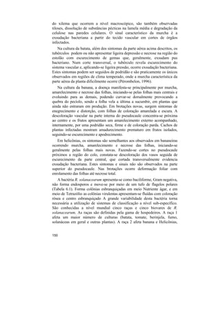 do xilema que ocorrem a nível macroscópico, são também observadas
tiloses, dissolução de substâncias pécticas na lamela média e degradação da
celulose nas paredes celulares. O sinal característico da murcha é a
exsudação bacteriana a partir do tecido vascular em cortes de órgãos
infectados.
    Na cultura da batata, além dos sintomas da parte aérea acima descritos, os
tubérculos podem ou não apresentar ligeira depressão e necrose na região do
estolão com escurecimento de gemas que, geralmente, exsudam pus
bacteriano. Num corte transversal, o tubérculo revela escurecimento do
sistema vascular e, aplicando-se ligeira pressão, ocorre exsudação bacteriana.
Estes sintomas podem ser seguidos de podridão e são praticamente os únicos
observados em regiões de clima temperado, onde a murcha característica da
parte aérea da planta dificilmente ocorre (Pérombelon, 1996).
    Na cultura da banana, a doença manifesta-se principalmente por murcha,
amarelecimento e necrose das folhas, iniciando-se pelas folhas mais centrais e
evoluindo para as demais, podendo curvar-se dorsalmente provocando a
quebra do pecíolo, sendo a folha vela a última a sucumbir, em plantas que
ainda não entraram em produção. Em brotações novas, surgem sintomas de
enegrecimento e distorção, com folhas de coloração amarelada e escura. A
descoloração vascular na parte interna do pseudocaule concentra-se próxima
ao centro e os frutos apresentam um amarelecimento externo acompanhado,
internamente, por uma podridão seca, firme e de coloração parda. Cachos de
plantas infectadas mostram amadurecimento prematuro em frutos isolados,
seguindo-se escurecimento e apodrecimento.
   Em helicônias, os sintomas são semelhantes aos observados em bananeiras
ocorrendo murcha, amarelecimento e necrose das folhas, iniciando-se
geralmente pelas folhas mais novas. Fazendo-se cortes no pseudocaule
próximos a região do colo, constata-se descoloração dos vasos seguida de
escurecimento da parte central, que cortada transversalmente evidencia
exsudação bacteriana. Estes sintomas e sinais não são observados na parte
superior do pseudocaule. Nas brotações ocorre deformação foliar com
enrolamento das folhas até necrose total.
   A bactéria R. solanacearum apresenta-se como baciliforme, Gram negativa,
não forma endosporos e move-se por meio de um tufo de flagelos polares
(Tabela 6.1). Forma colônias esbranquiçadas em meio Nutriente ágar, e em
meio de Tetrazólio as colônias virulentas apresentam-se fluídas com coloração
rósea e centro esbranquiçado A grande variabilidade desta bactéria torna
necessária a utilização de sistemas de classificação a nível sub-específico.
São conhecidas a nível mundial cinco raças e cinco biovares de R.
solanacearum. As raças são definidas pela gama de hospedeiros. A raça 1
afeta um maior número de culturas (batata, tomate, berinjela, fumo,
solanáceas em geral e outras plantas). A raça 2 afeta banana e Helicônias,


150
 
