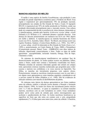MANCHA-AQUOSA DO MELÃO
    O melão é uma espécie da família Cucurbitaceae, cuja produção é uma
atividade de grande importância econômica para o Nordeste do Brasil. Essa
região é responsável por aproximadamente 74% da produção nacional,
principalmente nos estados do Rio Grande do Norte e Ceará. O Agropolo
RN-CE é responsável por 95% do melão produzido no Nordeste, sendo sua
produção direcionada principalmente para o mercado externo. Esta cultura
pode ser comprometida devido à ocorrência de várias doenças, destacando-se
a mancha-aquosa, causada pela bactéria Acidovorax avenae subsp. citrulli
(Schaad et al.) Willems et al., sobretudo durante o período chuvoso. Esta
doença foi descrita primeiramente em melancia nos EUA em 1965, depois
em melão e abóbora. A mancha-aquosa ou mancha bacteriana dos frutos
ocorre nos EUA, Austrália, Índia e Brasil. No Brasil, esta doença ocorre nas
regiões Nordeste, Sudeste e Centro-Oeste (Robbs et al., 1992). Em 1997 a
A. avenae subsp. citrulli foi detectada no Rio Grande do Norte (Assis et al.,
1999) e, posteriormente, no Ceará (Santos & Viana, 2000) e Pernambuco
(Comunicação pessoal, Daniel Terao - EMBRAPA) com altos índices de
infecção, depreciando comercialmente o fruto. Todos os tipos de melão
apresentam susceptibilidade, incluindo Amarelo, Orange, Pele de Sapo,
Charantais e Gália.
    Os sintomas da mancha-aquosa manifestam-se em qualquer fase de
desenvolvimento da planta. As lesões podem ocorrer em plântulas, folhas,
ramos e frutos, sendo mais comuns e facilmente visualizadas nos frutos.
Plântulas oriundas de sementes infectadas quando não entram em colapso
total, apresentam extensas manchas encharcadas que progridem para verde-
escuras e marrons nos cotilédones e às vezes necrose no hipocótilo. Nas
folhas, as manchas são inicialmente pequenas, com aspecto oleoso.
Posteriormente, tornam-se necróticas (marrom-escuras) com ou sem halo e
em alguns casos apresentam-se como manchas angulares, estendendo-se até
a nervura central da folhas (Hopkins et al., 1996). Não há evidências de
infecção sistêmica com murcha ou desfolhamento da planta.
   Os sintomas mais típicos da doença apresentam-se nos frutos maduros
antes da colheita, embora a infecção ocorra durante a floração e formação
destes (Isakeit, 1999). As lesões nos frutos são inicialmente pontos oleosos
com 1 a 3 mm de diâmetro, os quais se expandem e se tornam manchas
marrons, necróticas com ou sem rachaduras no centro. Essas rachaduras
podem servir como porta de entrada para outros microrganismos que
aceleram o apodrecimento do fruto. As lesões necróticas localizam-se na
superfície do fruto que não entra em contato com o solo, progredindo
rapidamente (7 a 10 dias) para uma maior área, antes da colheita. A bactéria,


                                                                         157
 