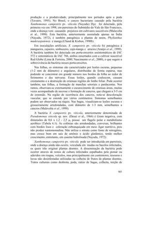 produção e a produtividade, principalmente nos períodos após a poda
(Tavares, 1995). No Brasil, o cancro bacteriano causado pela bactéria
Xanthomonas campestris pv. viticola (Nayudu) Dye foi detectado, pela
primeira vez em 1998, em parreirais do Submédio do Vale do São Francisco,
onde a doença vem causando prejuízos em cultivares suscetíveis (Malavolta
et al., 1999). Esta bactéria, anteriormente assinalada apenas na Índia
(Nayudu, 1972), é também patogênica a plantas de neem, Phyllanthus
maderaspatensis e manga (Chand & Kishun, 1990b).
   Em inoculações artificiais, X. campestris pv. viticola foi patogênica à
mangueira, cajueiro, umbuzeiro, cajá-manga e aroeira (Araújo et al., 1999).
A bactéria também foi detectada em porta-enxertos assintomáticos de IAC
572 e sintomáticos de IAC 766, ambos enxertados com a cultivar suscetível
Red Globe (Lima & Ferreira, 2000; Nascimento et al., 2000), o que sugere a
sobrevivência da bactéria nesses porta-enxertos.
    Nas folhas, os sintomas são caracterizados por lesões escuras, pequenas
(1-2 mm de diâmetro) e angulares, distribuídas de forma esparsa, mas
podendo se concentrar em grande número nos bordos da folha ao redor de
ferimentos e das nervuras. Essas lesões, quando coalescem, causam
crestamento e a destruição de extensas regiões do limbo foliar. Pode ocorrer
também, nas folhas, a formação de manchas setoriais e pardacentas. Nos
ramos, observam-se externamente o escurecimento de extensas áreas, muitas
vezes acompanhado de necrose e formação de cancros, que chegam a 3-5 cm
de extensão. Na região de ocorrência dos cancros, nota-se descoloração
vascular, que se estende por vários centímetros. Sintomas semelhantes
podem ser observados na ráquis. Nas bagas, visualizam-se lesões escuras e
grosseiramente arredondadas, com diâmetro de 1-3 mm, semelhantes a
cancros (Malavolta et al., 1999).
   A bactéria X. campestris pv. viticola, anteriormente denominada de
Pseudomonas viticola sp. nov. (Desai et al., 1966) é Gram negativa, com
dimensões de 0,6 x 1,2 - 2,5 µ, possui um flagelo polar e metabolismo
aeróbico (Tabela 6.1). As colônias são arredondadas, convexas, brilhantes
com bordos lisos e coloração esbranquiçada em meio Ágar nutritivo, pois
não produz xantomonadina. Não utiliza o nitrato como fonte de nitrogênio,
mas cresce bem em sais de amônio e ácido glutâmico, tendo melhor
crescimento, entretanto, em caseína hidrolisada (Nayudu, 1972).
   Xanthomonas campestris pv. viticola pode ser introduzida em parreirais,
onde a doença ainda não ocorre, veiculada em mudas ou bacelos infectados,
os quais irão originar plantas doentes. A disseminação da bactéria pode
ocorrer através de restos de cultura infectados espalhados pelo pomar ou
aderidos em roupas, veículos, mas principalmente em contentores, tesouras e
luvas não desinfestadas utilizadas na colheita de frutos de plantas doentes.
Tratos culturais como desbrota, poda, raleio de bagas, colheita, torção de


                                                                        161
 