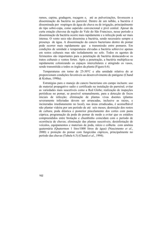 ramos, capina, gradagem, roçagem e, até as pulverizações, favorecem a
disseminação da bactéria no parreiral. Dentro de um talhão, a bactéria é
disseminada por respingos de água de chuva ou de irrigação, principalmente
do tipo sobre-copa, como aspersão convencional e pivô central. Apesar da
curta estação chuvosa da região do Vale do São Francisco, nesse período a
disseminação da bactéria ocorre mais rapidamente e a infecção pode ser mais
intensa. O vento seco não dissemina a bactéria, sendo necessário sempre a
presença de água. A disseminação do cancro bacteriano dentro do pomar
pode ocorrer mais rapidamente que a transmissão entre pomares. Em
condições de umidade e temperaturas elevadas a bactéria sobrevive apenas
em restos culturais mas não isoladamente no solo. Todos os agentes de
ferimentos são importantes para a penetração de bactéria destacando-se os
tratos culturais e ventos fortes. Após a penetração, a bactéria multiplica-se
rapidamente colonizando os espaços intercelulares e atingindo os vasos,
sendo transmitida a todos os órgãos da planta (Figura 6.6).
   Temperaturas em torno de 25-30°C e alta umidade relativa do ar
proporcionam condições favoráveis ao desenvolvimento do patógeno (Chand
& Kishun, 1990a).
    Estratégias para o manejo do cancro bacteriano em campo incluem: uso
de material propagativo sadio e certificado na instalação do parreiral; evitar
as variedades mais suscetíveis como a Red Globe; realização de inspeções
periódicas no pomar, se possível semanalmente, para a detecção de focos
iniciais de infecção; eliminação de plantas vivas doentes (plantas
severamente infectadas devem ser arrancadas, inclusive as raízes, e
incineradas imediatamente no local), nas áreas erradicadas, é aconselhável
não plantar videira por um período de até seis meses; destruição dos restos
de cultura; poda drástica e posterior pincelamento dos cortes com pasta
cúprica; programação da poda do pomar de modo a evitar que os estádios
compreendidos entre brotação e chumbinho coincidam com o período de
ocorrência de chuvas; eliminação das plantas suscetíveis; desinfestação de
veículos, equipamentos e materiais de poda, raleio e colheita com amônia
quaternária (Quatermon 1 litro/1000 litros de água) (Nascimento et al.,
2000) e proteção do pomar com fungicidas cúpricos, principalmente no
período das chuvas (Tabela 6.3) (Chand et al., 1994).




162
 