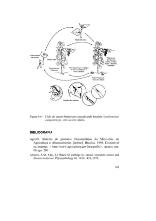 Figura 6.6 – Ciclo do cancro bacteriano causado pela bactéria Xanthomonas
             campestris pv. viticola em videira.



BIBLIOGRAFIA

Agrofit. Sistema de produtos fitossanitários do Ministério de
  Agricultura e Abastecimento. [online]. Brasília. 1998. Disponível
  na internet: < http://www.agricultura.gov.br/agrofit/>. Acesso em:
  08 ago. 2001.
Alvarez, A.M.; Cho, J.J. Black rot cabbage in Hawaii: inoculum source and
   disease incidence. Phytopathology 68: 1456-1459, 1978.


                                                                     163
 