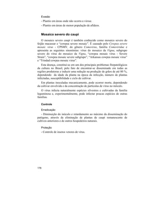 Evasão
   - Plantio em áreas onde não ocorra a virose.
   - Plantio em áreas de menor população de afídeos.


   Mosaico severo do caupi
    O mosaico severo caupi é também conhecido como mosaico severo do
feijão macassar e “cowpea severe mosaic”. É causado pelo Cowpea severe
mosaic virus - CPSMV, do gênero Comovirus, família Comoviridae e
apresenta as seguintes sinonímias: vírus do mosaico da Vigna, subgrupo
severo do vírus do mosaico da Vigna, “cowpea mosaic vírus - Severe
Strain”, “cowpea mosaic severe subgrupo”, “Arkansas cowpea mosaic virus”
e “Trindad cowpea mosaic virus”.
   Esta doença, constitui-se em um dos principais problemas fitopatológicos
da cultura no Brasil, pelo fato de encontrar-se disseminado em todas as
regiões produtoras e induzir uma redução na produção de grãos de até 80 %,
dependendo da idade da planta na época da infecção, número de plantas
infectadas, susceptibilidade e ciclo de cultivar.
   Em plantas inoculadas mecanicamente, pode ocorrer morte, dependendo
da cultivar envolvida e da concentração de partículas de vírus no inóculo.
   O vírus infecta naturalmente espécies silvestres e cultivadas da família
leguminosa e, experimentalmente, pode infectar poucas espécies de outras
famílias.

   Controle

   Erradicação
   - Diminuição do inóculo e retardamento ao máximo da disseminação do
patógeno, através da eliminação de plantas de caupi remanescente de
cultivos anteriores e de outros hospedeiros naturais.

   Proteção
   - Controle de insetos vetores de vírus.




178
 