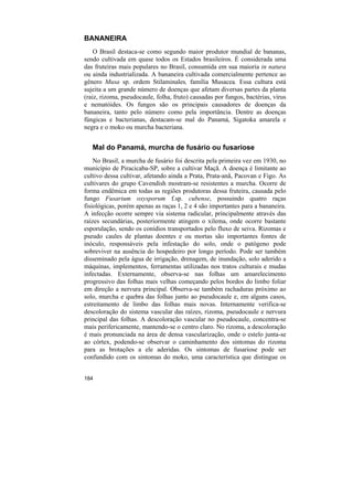 BANANEIRA
    O Brasil destaca-se como segundo maior produtor mundial de bananas,
sendo cultivada em quase todos os Estados brasileiros. É considerada uma
das fruteiras mais populares no Brasil, consumida em sua maioria in natura
ou ainda industrializada. A bananeira cultivada comercialmente pertence ao
gênero Musa sp. ordem Stilaminales, família Musacea. Essa cultura está
sujeita a um grande número de doenças que afetam diversas partes da planta
(raiz, rizoma, pseudocaule, folha, fruto) causadas por fungos, bactérias, vírus
e nematóides. Os fungos são os principais causadores de doenças da
bananeira, tanto pelo número como pela importância. Dentre as doenças
fúngicas e bacterianas, destacam-se mal do Panamá, Sigatoka amarela e
negra e o moko ou murcha bacteriana.


   Mal do Panamá, murcha de fusário ou fusariose
    No Brasil, a murcha de fusário foi descrita pela primeira vez em 1930, no
município de Piracicaba-SP, sobre a cultivar Maçã. A doença é limitante ao
cultivo dessa cultivar, afetando ainda a Prata, Prata-anã, Pacovan e Figo. As
cultivares do grupo Cavendish mostram-se resistentes a murcha. Ocorre de
forma endêmica em todas as regiões produtoras dessa fruteira, causada pelo
fungo Fusarium oxysporum f.sp. cubense, possuindo quatro raças
fisiológicas, porém apenas as raças 1, 2 e 4 são importantes para a bananeira.
A infecção ocorre sempre via sistema radicular, principalmente através das
raízes secundárias, posteriormente atingem o xilema, onde ocorre bastante
esporulação, sendo os conídios transportados pelo fluxo de seiva. Rizomas e
pseudo caules de plantas doentes e ou mortas são importantes fontes de
inóculo, responsáveis pela infestação do solo, onde o patógeno pode
sobreviver na ausência do hospedeiro por longo período. Pode ser também
disseminado pela água de irrigação, drenagem, de inundação, solo aderido a
máquinas, implementos, ferramentas utilizadas nos tratos culturais e mudas
infectadas. Externamente, observa-se nas folhas um amarelecimento
progressivo das folhas mais velhas começando pelos bordos do limbo foliar
em direção a nervura principal. Observa-se também rachaduras próximo ao
solo, murcha e quebra das folhas junto ao pseudocaule e, em alguns casos,
estreitamento de limbo das folhas mais novas. Internamente verifica-se
descoloração do sistema vascular das raízes, rizoma, pseudocaule e nervura
principal das folhas. A descoloração vascular no pseudocaule, concentra-se
mais perifericamente, mantendo-se o centro claro. No rizoma, a descoloração
é mais pronunciada na área de densa vascularização, onde o estelo junta-se
ao córtex, podendo-se observar o caminhamento dos sintomas do rizoma
para as brotações a ele aderidas. Os sintomas de fusariose pode ser
confundido com os sintomas do moko, uma característica que distingue os


184
 