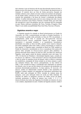 dois sintomas é que na fusariose não há uma descoloração interna do fruto, e
plantas jovens com menos de 4 meses e 1,5m de altura, não desenvolvem os
sintomas. O controle deve ser feito de forma preventiva, baseado em
medidas culturais como: plantio em áreas isentas da ocorrência do patógeno;
uso de mudas sadias; correção do solo; manutenção da cultura bem nutrida;
controle dos nematóides e da broca do rizoma e erradicação das plantas
doentes. A melhor alternativa para conviver com a doença tem sido o uso de
cultivares resistentes como Nanica, Nanicão e Grande Naine, por outro lado
são susceptíveis a raça 4 do patógeno, que até o momento não foi constatada
no país. Outras cultivares resistentes são Terra, Terrinha, D´angola e Prata
Maçã. E com média susceptibilidade Prata Anã, Prata, Pacovan e Pioneira.


   Sigatokas amarela e negra
    A Sigatoka amarela foi relatada no Brasil primeiramente no Estado do
Amazonas, em 1944, e posteriormente em todos os Estados brasileiros. A
nível nacional as perdas estão estimadas na faixa de 50% da produção, e
eventualmente, perda total. É causada por Mycosphaerella musicola
(Pseudocercospora musae), produzindo esporos de origem sexuada
(ascósporo) e assexuada (conídio) e os pseudotécios encontram-se
distribuídos em ambas as faces da folha, quando ocorre massiva infecção.
Em lesões espalhadas sobre toda a folha, a maior concentração se verifica na
face superior. A Sigatoka negra, constatada no Brasil em 1998, também no
Estado do Amazonas e recentemente no Acre, é causada por Mycosphaerella
fijiensis (fase sexuada) ou Paracercospora fijiensis (fase amórfica). A
primeira descrição dessa espécie foi feita em 1963, nas Ilhas Fiji, distrito de
Sigatoka, como agente casual da doença conhecida como raia negra. Em
1972, foi descrita em Honduras e denominada Sigatoka negra, causada por
M. fijiensis var. difformis. A fase assexual (P. fijiensis) está presente durante
a fase de estrias ou manchas jovens da doença, onde se observa a presença
de conidióforos, emergindo de forma isolada ou em baixo número, a partir
dos estômatos foliares. São visíveis, principalmente, na face inferior da
folha. A fase sexuada do fungo é considerada mais importante no aumento
da infecção, uma vez que um alto número de ascósporos são produzidos em
estruturas denominadas pseudotécios. As duas espécies, M. musicola e M.
fijiensis, podem ser diferenciadas somente durante a fase anamórfica do
patógeno e podem, também, ser separadas por marcadores moleculares tipo
RAPD, tanto pela utilização do DNA, extraído de culturas puras do
patógeno, como pela utilização direta do tecido da folha infectada. Os
sintomas de ambos os patógenos ocorrem nas folhas jovens da planta,
incluindo geralmente as folhas de número zero (vela), 1, 2 e 3. O
desenvolvimento das lesões das Sigatokas foi dividido em números de cinco
a seis estádios, dependendo do autor. Estádios da Sigatoka amarela: estádio I


                                                                             185
 