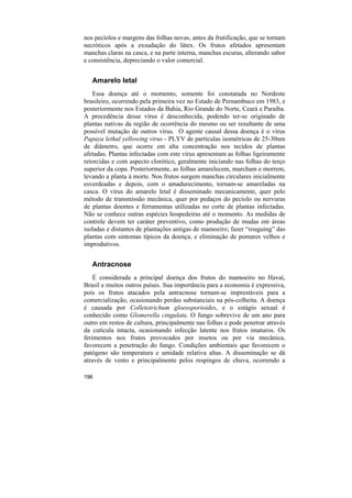 nos pecíolos e margens das folhas novas, antes da frutificação, que se tornam
necróticos após a exsudação do látex. Os frutos afetados apresentam
manchas claras na casca, e na parte interna, manchas escuras, alterando sabor
e consistência, depreciando o valor comercial.


   Amarelo letal
   Essa doença até o momento, somente foi constatada no Nordeste
brasileiro, ocorrendo pela primeira vez no Estado de Pernambuco em 1983, e
posteriormente nos Estados da Bahia, Rio Grande do Norte, Ceará e Paraíba.
A procedência desse vírus é desconhecida, podendo ter-se originado de
plantas nativas da região de ocorrência do mesmo ou ser resultante de uma
possível mutação de outros vírus. O agente causal dessa doença é o vírus
Papaya lethal yellowing virus - PLYV de partículas isométricas de 25-30nm
de diâmetro, que ocorre em alta concentração nos tecidos de plantas
afetadas. Plantas infectadas com este vírus apresentam as folhas ligeiramente
retorcidas e com aspecto clorótico, geralmente iniciando nas folhas do terço
superior da copa. Posteriormente, as folhas amarelecem, murcham e morrem,
levando a planta à morte. Nos frutos surgem manchas circulares inicialmente
esverdeadas e depois, com o amadurecimento, tornam-se amareladas na
casca. O vírus do amarelo letal é disseminado mecanicamente, quer pelo
método de transmissão mecânica, quer por pedaços do pecíolo ou nervuras
de plantas doentes e ferramentas utilizadas no corte de plantas infectadas.
Não se conhece outras espécies hospedeiras até o momento. As medidas de
controle devem ter caráter preventivo, como produção de mudas em áreas
isoladas e distantes de plantações antigas de mamoeiro; fazer “rouguing” das
plantas com sintomas típicos da doença; e eliminação de pomares velhos e
improdutivos.


   Antracnose
    É considerada a principal doença dos frutos do mamoeiro no Havaí,
Brasil e muitos outros países. Sua importância para a economia é expressiva,
pois os frutos atacados pela antracnose tornam-se imprestáveis para a
comercialização, ocasionando perdas substanciais na pós-colheita. A doença
é causada por Colletotrichum gloeosporioides, e o estágio sexual é
conhecido como Glomerella cingulata. O fungo sobrevive de um ano para
outro em restos de cultura, principalmente nas folhas e pode penetrar através
da cutícula intacta, ocasionando infecção latente nos frutos imaturos. Os
ferimentos nos frutos provocados por insetos ou por via mecânica,
favorecem a penetração do fungo. Condições ambientais que favorecem o
patógeno são temperatura e umidade relativa altas. A disseminação se dá
através de vento e principalmente pelos respingos de chuva, ocorrendo a

196
 