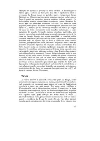 liberação dos esporos na presença de muita umidade. A disseminação da
doença após a colheita de fruto para fruto não é significativa, sendo a
severidade da doença menor em períodos secos e temperaturas baixas.
Sintomas nas folhagem aparecem como pequenas manchas encharcadas de
forma irregular que aumenta e torna-se castanha, podendo coalecer. Em
lesões velhas o centro torna-se branco acinzentado e caem. No centro das
lesões pode ser observados numerosos acérvulos, que aparecem como
pequenos pontos pretos. Nos frutos os sintomas podem apresentar dois tipos
de lesões. O primeiro tipo é o sintoma de antracnose em mamão que surgem
na casca do fruto, inicialmente como manchas encharcadas, as quais
aumentam de tamanho formando manchas circulares, deprimidas, com
margem marron-clara, produzindo na parte central, massas de esporos de cor
rósea ou laranja. Quando em grande quantidade as manchas podem
coalescer, espalhar-se pela superfície do fruto e penetrarem, ocasionando
podridão mole. O segundo tipo de lesão é conhecido como mancha
chocolate, que aparece como lesões circulares a irregulares, com 1-10mm em
diâmetro, levemente deprimida de coloração castanho avermelhado. Nos
frutos maduros as lesões aumentam rapidamente chegando até a 20mm de
diâmetro. O controle da antracnose deve ser feito de forma preventiva com
pulverizações quinzenais, utilizando produtos a base de cobre, benzimidazol
mais chlorotalonil ou mancozeb. Frutos e folhas infectados, onde há uma
fonte de inóculo muito grande, devem ser retirados das plantas e destruídos.
A colheita deve ser feita com os frutos ainda verdoengos e devem ser
aplicadas medidas de sanitização nos locais de armazenamento e transporte
dos frutos, além de tratamentos pós-colheita pela imersão dos frutos com
água quente ou fungicidas (thiabendazole ou benomyl). O controle torna-se
mais eficiente quando suspensões fungicidas são associados ao tratamento
térmico (imersão dos frutos em suspensão fungicida, aquecida a 48ºC sob
agitação continua, durante 20 minutos).


   Varíola
   A varíola também é conhecida como pinta preta ou bexiga, ocorre
comumente em regiões produtoras de mamão, principalmente em culturas
mal conduzidas. A importância dessa doença se baseia na freqüência de
ocorrência e danos que pode causar. Tem como agente etiológico o
Mycosphaerella caricae (Asperisporium caricae). O mamoeiro é o único
hospedeiro desse fungo e os esporos são disseminados pelo vento, respingos
de chuva e orvalho. Os sintomas se iniciam nas folhas inferiores da planta,
mas algumas vezes pode começar nas folhas novas e frutos. O
desenvolvimento da planta, principalmente as mais novas, pode ser afetado
quando a incidência da doença for muito elevada. Nas folhas ocorrem
manchas pardo-clara (marrom) de forma arredondada, de no máximo 4mm


                                                                        197
 