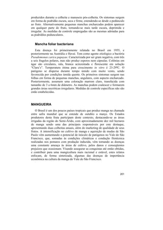 produzidos durante a colheita e manuseio pós-colheita. Os sintomas surgem
em forma de podridão escura, seca e firme, estendendo-se desde o pedúnculo
ao fruto. Alternativamente pequenas manchas encharcadas podem aparecer
em qualquer parte do fruto, tornando-se mais tarde escura, deprimida e
irregular. As medidas de controle empregadas são as mesmas adotadas para
as podridões pedunculares.


   Mancha foliar bacteriana
   Esta doença foi primeiramente relatada no Brasil em 1955, e
posteriormente na Austrália e Havaí. Tem como agente etiológico a bactéria
Pseudomonas carica papayae. Caracterizada por ser gram negativa, com três
a seis fragelos polares, mas não produz esporos nem cápsulas. Colônias em
ágar são circulares, rala, branca acinzentada e florescente em solução
“Clara’s”. Temperatura ótima para crescimento in vitro é 23-29ºC. O
patógeno se dispersa durante tempo úmido com muito vento, sendo
favorecida por condições úmida quente. Os primeiros sintomas surgem nas
folhas em forma de pequenas manchas, angulares, com aspecto encharcado.
Posteriormente, assumem uma coloração marrom claro, translúcida com
tamanho de 3 a 6mm de diâmetro. As manchas podem coalescer e formarem
grandes áreas necróticas irregulares. Medidas de controle específicas não são
estão estabelecidas.



MANGUEIRA
    O Brasil é um dos poucos países tropicais que produz manga na chamada
entre safra mundial que se estende de outubro a março. Os Estados
produtores desta fruta participam deste contexto, destacando-se as áreas
irrigadas da região do Semi-Árido, com aproximadamente dez mil hectares
de manga sendo uma das principais responsáveis por este destaque,
apresentando duas colheitas anuais, além do marketing de qualidade de seus
frutos. A intensificação no cultivo de manga e aquisição de mudas de São
Paulo vêm aumentando o potencial de inóculo de patógenos no Vale do São
Francisco, que, somadas às condições climáticas e condução fitotécnica
realizadas nos pomares com produção induzida, vêm tornando as doenças
uma constante ameaça às áreas de cultivo, pelos danos e conseqüentes
prejuízos que ocasionam. Visando assegurar as conquistas até então obtidas,
e contribuir para uma mangicultura mais racional e estável, estes relatos
enfocam, de forma sintetizada, algumas das doenças de importância
econômica na cultura da manga do Vale do São Francisco.



                                                                         201
 