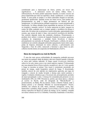 contribuindo para a depreciação de frutos, porém, em níveis não
significativos.     A antracnose ocorre em ramos, folhas, frutos e
inflorescências. Os frutos podem apresentar manchas ou lesões escuras um
pouco deprimidas por toda sua superfície, desde o pedúnculo, e com aspecto
úmido. A casca pode se romper e os frutos infectados chegam ao mercado,
geralmente apodrecidos. Quando ocorre em frutos novos, estes podem cair
prematuramente ou pode o fungo permanecer em latência até que
amadureçam. As inflorescências afetadas enegrecem e secam prejudicando a
frutificação. As folhas afetadas ficam manchadas de marrom, de forma oval
ou irregular e tamanho variável. As lesões aparecem no ápice, margem ou
centro da folha, podendo esta se romper quando a incidência da doença é
muito alta. Os ramos são os primeiros a serem infectados, apresentando áreas
escuras, que secam do ápice à base, com possível ocorrência de desfolha.
Seu controle depende muito das condições climáticas. Primeiramente, o
produtor deve adotar o sistema de inspeção freqüente no pomar, quando as
condições de temperatura e umidade forem favoráveis à doença,
principalmente nos períodos de floração, frutificação e colheita, de modo a
estabelecer um controle adequado utilizando espaçamento maior entre copas;
podas de limpeza; eliminação de restos culturais; e pulverizações com
fungicidas a base de cobre, mancozeb e benomyl e para frutos na pós-
colheita imersão destes em suspensão de thiabendazole a 0,01%.


   Seca da mangueira ou mal do Recife
    É uma das mais graves enfermidades da mangueira, podendo provocar
sua morte em qualquer idade da planta e não tem controle quando a infecção
se inicia pelo sistema radicular. O fungo causal Ceratocystis fimbriata
sobrevive no solo, ramos secos e em várias espécies vegetais. É disseminado
por uma pequena broca (Hypocryphalus mangiferae), que só é vetor quando
o fungo se encontra no pomar. Este inseto é comumente encontrado em
pomar de manga, sendo hospedeiro natural do fungo. É disseminado,
também, através do solo aderido em implementos agrícolas, por água de
irrigação e através de mudas levando a doença para outros pomares e
regiões. Condições climáticas que o favorecem são, principalmente, períodos
de maior precipitação e calor. A doença foi constatada pela primeira vez em
Jardinópolis (SP), em 1940. Presume-se, porém, que nessa época, a doença
já ocorria no Recife, onde foi designada de "Mal-do-Recife" e,
posteriormente, na Bahia, Rio de Janeiro, Goiás e Distrito Federal, onde a
doença passou a ser chamada "Murcha ou seca-da-mangueira". Ocorre,
também, nas culturas de café, fumo, mamona, seringueira, cacau, figo,
batata-doce, crotalária, feijão, guandu, Cassia fistula e Cassia negra. É uma
doença específica do Brasil na cultura da manga. Já foi, também, constada
em outras culturas nos EUA, Colômbia, Venezuela, Guatemala e Costa Rica.


206
 