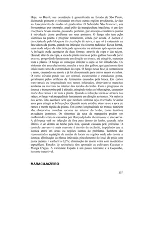 Hoje, no Brasil, sua ocorrência é generalizada no Estado de São Paulo,
dizimando pomares e colocando em risco outras regiões produtoras, devido
ao fornecimento de mudas ali produzidas. O Submédio São Francisco, em
Pernambuco, por exemplo, atual pólo da mangicultura brasileira, é um dos
receptores dessas mudas, passando, portanto, por ameaças constantes quanto
à introdução desse problema em seus pomares. O fungo não tem ação
sistêmica na planta e progride lentamente, célula por célula. A doença é
caracterizada pelo bloqueio da circulação de seiva, o que só é externado na
fase adulta da planta, quando na infecção via sistema radicular. Dessa forma,
uma muda adquirida infectada pode apresentar os sintomas após quatro anos.
A infecção pode acontecer de duas formas: através da copa e das raízes.
Quando através da copa, a seca da planta inicia-se pelos galhos finos da parte
externa, progredindo lentamente em direção ao tronco, até atingi-lo, matando
toda a planta. O fungo só consegue infectar a copa se for introduzido. Os
sintomas são amarelecimento, murcha e seca dos galhos, que geralmente têm
início num ramo da extremidade da copa. O fungo nessa fase já contaminou
o ramo, causando sua morte e já foi disseminado para outros ramos vizinhos.
O ramo afetado perde sua cor normal, escurecendo e exsudando goma,
geralmente pelos orifícios de ferimentos causados pela broca. Em cortes
transversais ou longitudinais nos ramos infectados, observam-se manchas
azuladas ou marrons no interior dos tecidos do lenho. Com o progresso da
doença o tronco principal é afetado, atingindo todas as bifurcações, causando
morte dos ramos e de toda a planta. Quando a infecção inicia-se através das
raízes, o fungo vai progredindo lentamente em direção ao tronco. Na maioria
das vezes, isto acontece sem que nenhum sintoma seja externado, levando
anos para atingir as bifurcações. Quando neste estádio, observa-se a seca de
ramos e morte rápida da planta. Em cortes longitudinais no tronco, também
são observadas manchas escuras no interior do lenho, como também
exsudados gomosos. Os sintomas da seca da mangueira podem ser
confundidos com os causados por Botryodiplodia theobromae e vice-versa.
A diferença está na infecção de fora para dentro do lenho, causada pelo
último, e de dentro do lenho para fora, quando causada pelo primeiro. O
controle preventivo mais coerente é através da exclusão, impedindo que a
doença entre em áreas ou regiões isentas do problema. Também são
recomendadas aquisição de mudas de locais ou regiões onde não ocorra a
doença; eliminação da planta infectada; pincelamento do local de poda com
pasta cúprica + carbaril a 0,2%; eliminação do inseto vetor com inseticidas
específicos. Estudos de resistência têm apontado as cultivares Carabao e
Manga D'agua. A variedade Espada é um pouco tolerante e a Coquinho,
bastante suscetível.



MARACUJAZEIRO

                                                                          207
 