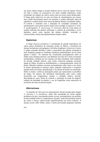 nas raízes, depois atinge os tecidos lenhosos até os vasos do xilema. Ocorre
em todo o campo ou concentra-se em áreas isoladas (reboleira), sendo
encontrado em campos de cultivo assim como em áreas recém desbravadas.
O fungo pode sobreviver no solo em forma de clamidosporos por muitos
anos, sendo disseminado através de sementes e mudas infectadas, água de
superfície e contato direto entre raízes de plantas doentes com plantas sadias.
O controle é realizado com a utilização de variedades resistentes de
maracujazeiro como porta enxerto tendo como exemplo as espécies P. alata,
P. quadrangularis, P. macrocarpa, P. incarnata, além de evitar danos ao
sistema radicular das plantas realizando o controle de nematóides e ervas
daninhas, assim como queima das plantas afetadas, incluindo as
circunvizinhas, mesmo que aparentemente estejam sadias.


   Septoriose
   O fungo Septoria passiflorae é considerado de grande importância em
vários países produtores de maracujá, porém no Brasil a ocorrência da
doença incitada por este patógeno é de baixa freqüência. Ocorre em viveiros
e campo causando desfolha e inibe o crescimento das plantas, tornando-se
mais freqüente quando as condições climáticas predominantes são de clima
quente e úmido. Os sintomas são visualizados principalmente sobre as
folhas como manchas marrons, com diâmetro em torno de 3-5mm, levemente
arredondadas, exibindo em seu contorno um halo amarelado. Sob condições
de elevada umidade relativa, estas lesões coalescem podendo ocasionar
queda de folhas, levando ao desfolhamento e, consequentemente, morte da
planta. Manchas similares ocorrem ocasionalmente sobre ramos e nos frutos
as lesões apresentam-se marrons claras, podendo coalescerem e ocuparem
grandes áreas dos frutos, prejudicando o seu desenvolvimento ou maturação.
Sobre as lesões, verifica-se pontuações pretas que representam os picnídios
do fungo. Os esporos são facilmente disseminados pelo vento, sendo
favorecido por temperaturas amenas e umidade relativa elevada.
Recomenda-se como forma de controle a utilização de poda de limpeza;
redução da densidade de plantio; e uso de fungicidas como mancozeb ou
oxicloreto de cobre em pulverizações.


   Alternarioses
   As manchas de Alternaria no maracujazeiro são provocadas pelos fungos
A. alternata e A. passiflorae, tendo sido encontrada em várias regiões
produtoras do país, ocasionando perdas severas, principalmente em períodos
de alta umidade relativa e temperaturas elevadas, sendo disseminados através
de ventos e chuvas, sobrevivendo saprofiticamente em restos culturais. A
doença ocorre sobre folhas, ramos e frutos provocando pequenas manchas

210
 